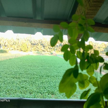 Ocean Sparrow Beach Stay Gokarna  Quarto foto