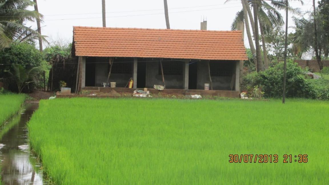 Ocean Sparrow Beach Stay Gokarna  Exterior foto