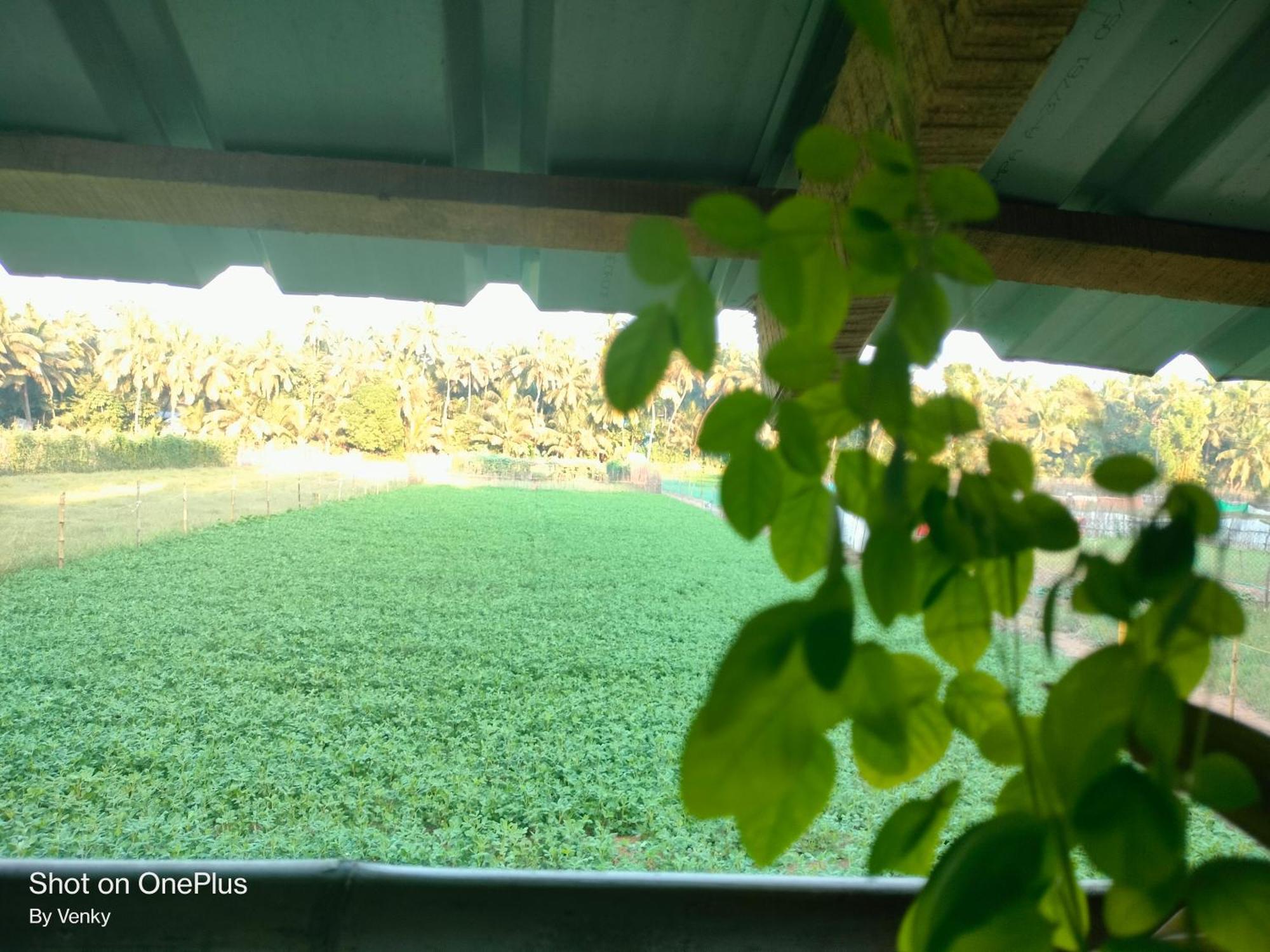 Ocean Sparrow Beach Stay Gokarna  Quarto foto